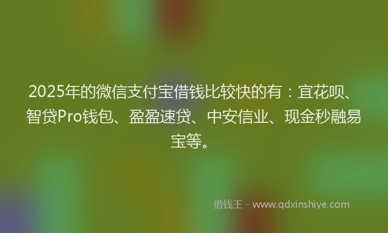 2025年的微信支付宝借钱比较快的有：宜花呗、智贷Pro钱包、盈盈速贷、中安信业、现金秒融易宝等。
