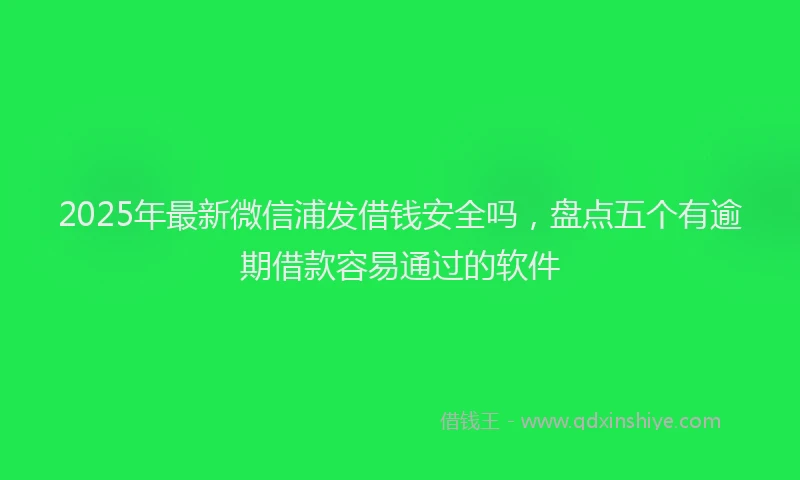 2025年最新微信浦发借钱安全吗，盘点五个有逾期借款容易通过的软件
