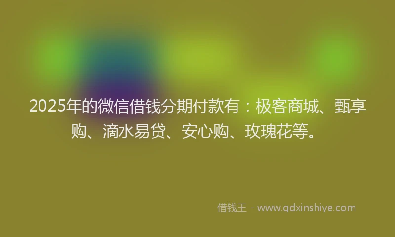 2025年的微信借钱分期付款有：极客商城、甄享购、滴水易贷、安心购、玫瑰花等。