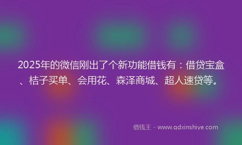 2025年的微信刚出了个新功能借钱有：借贷宝盒、桔子买单、会用花、森泽商城、超人速贷等。
