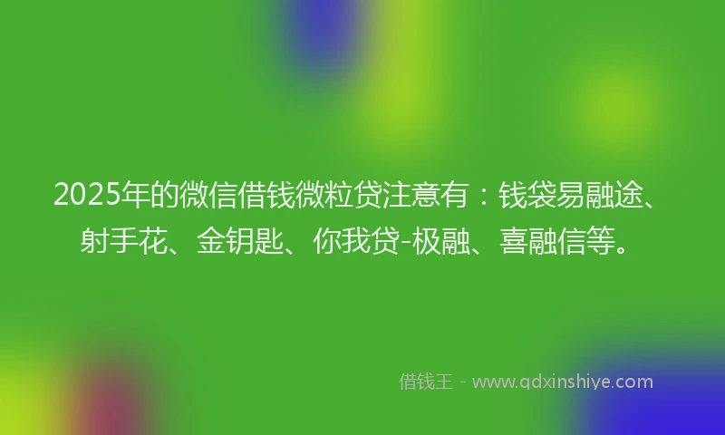 2025年的微信借钱微粒贷注意有：钱袋易融途、射手花、金钥匙、你我贷-极融、喜融信等。