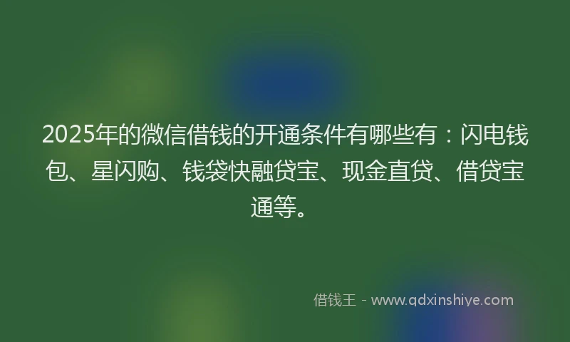 2025年的微信借钱的开通条件有哪些有：闪电钱包、星闪购、钱袋快融贷宝、现金直贷、借贷宝通等。