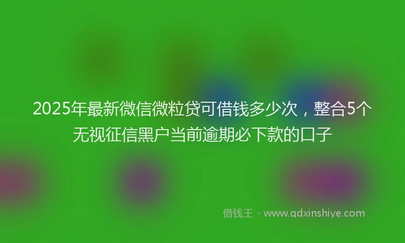 2025年最新微信微粒贷可借钱多少次，整合5个无视征信黑户当前逾期必下款的口子