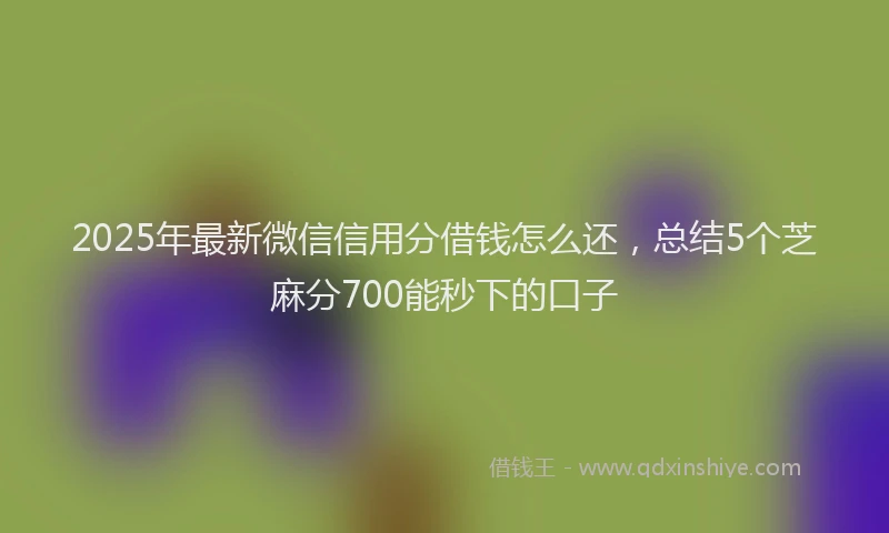 2025年最新微信信用分借钱怎么还，总结5个芝麻分700能秒下的口子