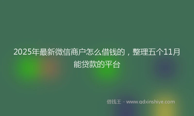 2025年最新微信商户怎么借钱的，整理五个11月能贷款的平台