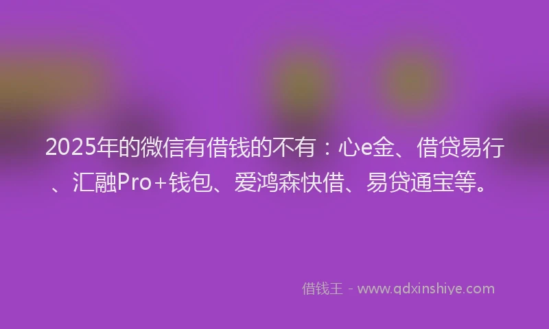 2025年的微信有借钱的不有：心e金、借贷易行、汇融Pro+钱包、爱鸿森快借、易贷通宝等。