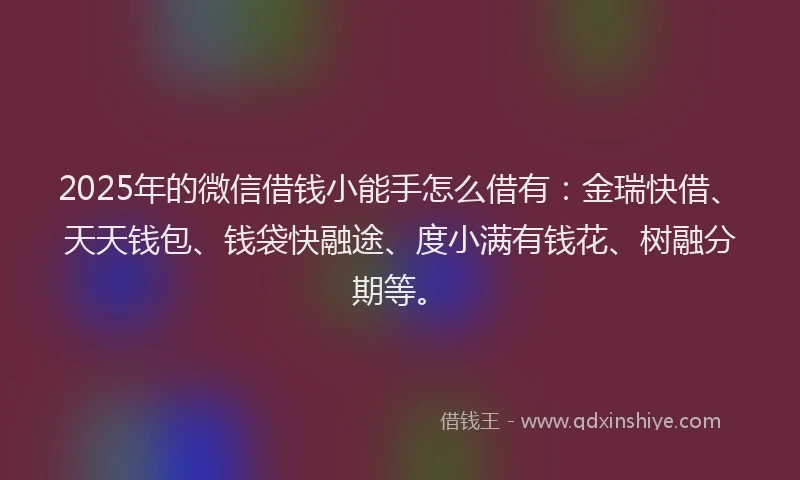 2025年的微信借钱小能手怎么借有：金瑞快借、天天钱包、钱袋快融途、度小满有钱花、树融分期等。