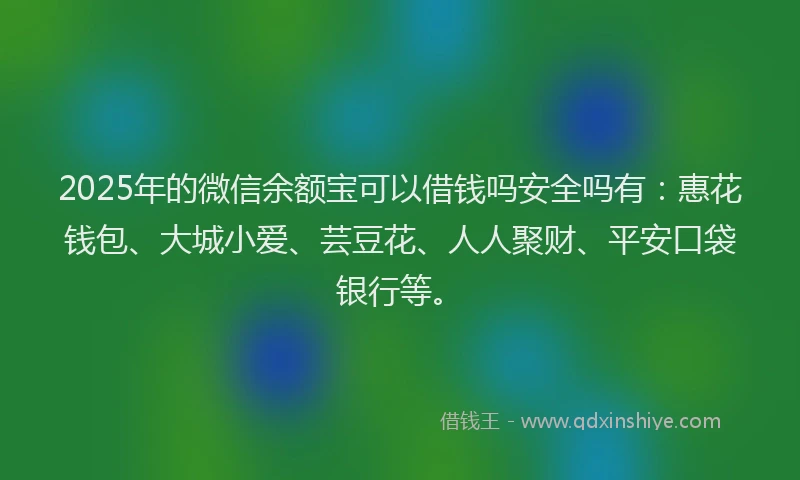2025年的微信余额宝可以借钱吗安全吗有：惠花钱包、大城小爱、芸豆花、人人聚财、平安口袋银行等。