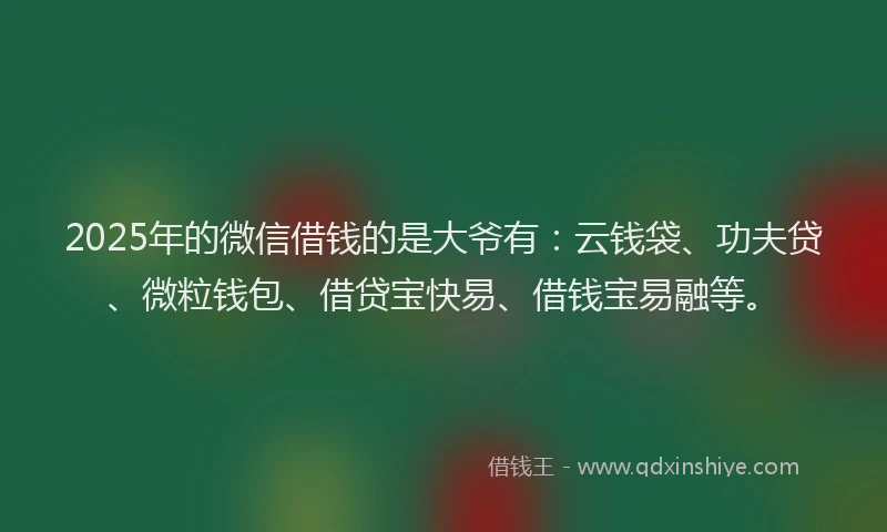 2025年的微信借钱的是大爷有：云钱袋、功夫贷、微粒钱包、借贷宝快易、借钱宝易融等。
