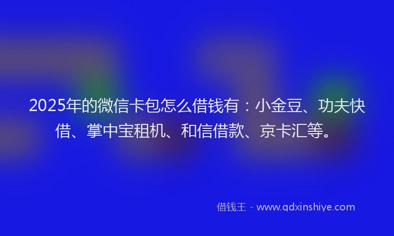 2025年的微信卡包怎么借钱有：小金豆、功夫快借、掌中宝租机、和信借款、京卡汇等。