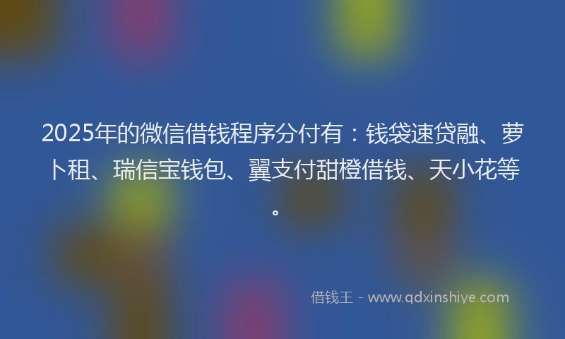2025年的微信借钱程序分付有：钱袋速贷融、萝卜租、瑞信宝钱包、翼支付甜橙借钱、天小花等。