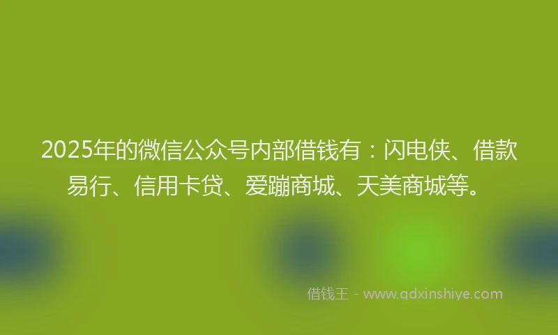 2025年的微信公众号内部借钱有：闪电侠、借款易行、信用卡贷、爱蹦商城、天美商城等。