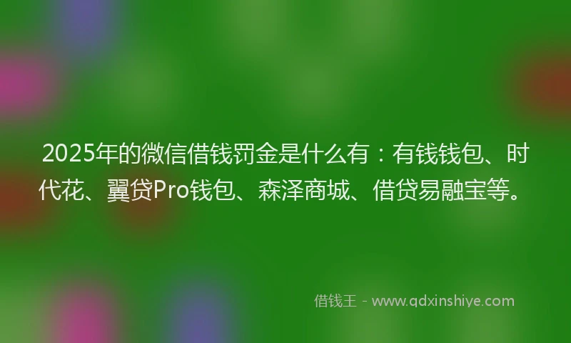 2025年的微信借钱罚金是什么有：有钱钱包、时代花、翼贷Pro钱包、森泽商城、借贷易融宝等。