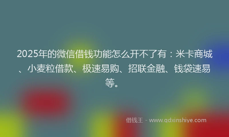 2025年的微信借钱功能怎么开不了有：米卡商城、小麦粒借款、极速易购、招联金融、钱袋速易等。