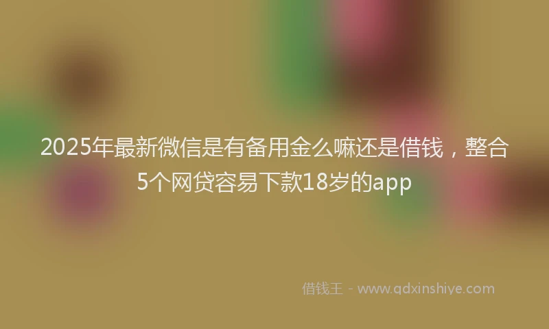 2025年最新微信是有备用金么嘛还是借钱，整合5个网贷容易下款18岁的app