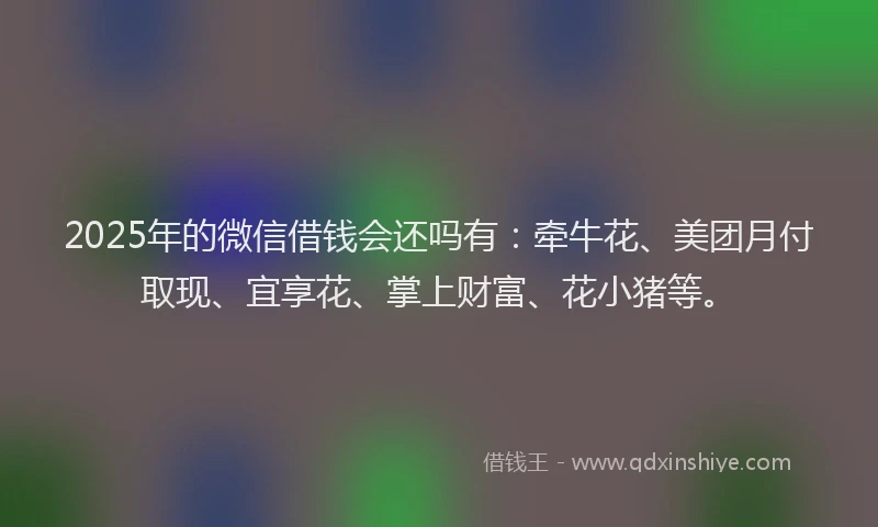 2025年的微信借钱会还吗有：牵牛花、美团月付取现、宜享花、掌上财富、花小猪等。