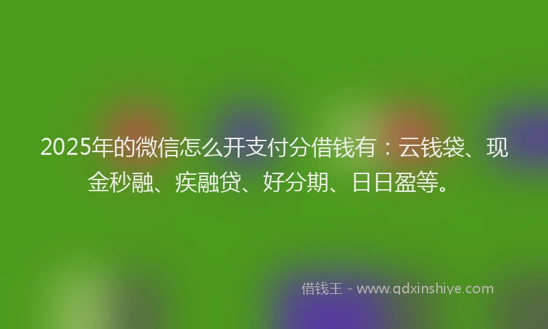 2025年的微信怎么开支付分借钱有：云钱袋、现金秒融、疾融贷、好分期、日日盈等。