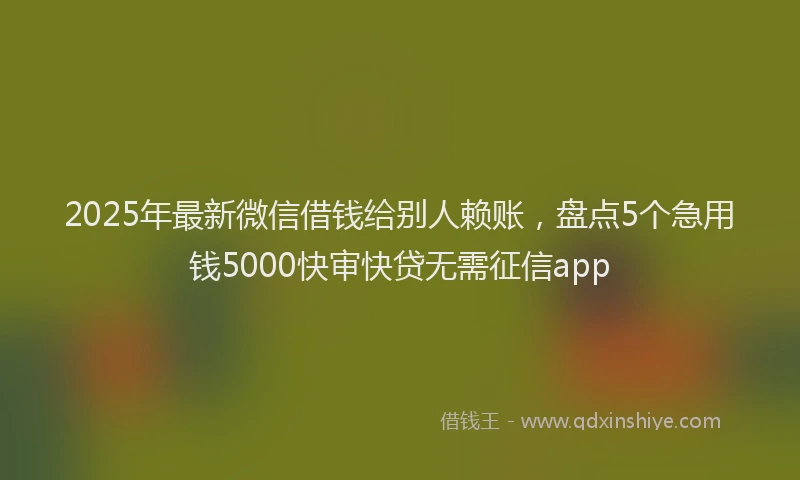2025年最新微信借钱给别人赖账，盘点5个急用钱5000快审快贷无需征信app