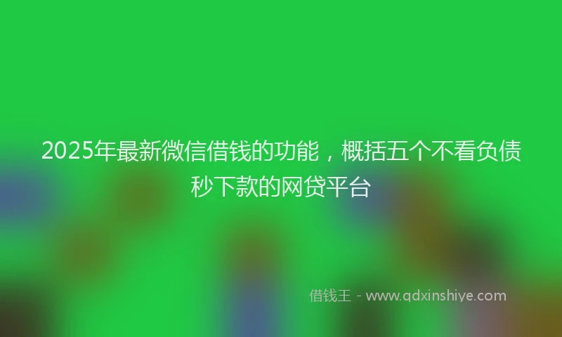 2025年最新微信借钱的功能，概括五个不看负债秒下款的网贷平台