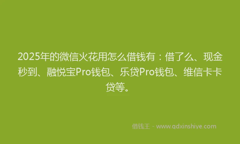 2025年的微信火花用怎么借钱有：借了么、现金秒到、融悦宝Pro钱包、乐贷Pro钱包、维信卡卡贷等。