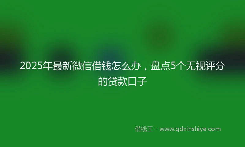 2025年最新微信借钱怎么办，盘点5个无视评分的贷款口子