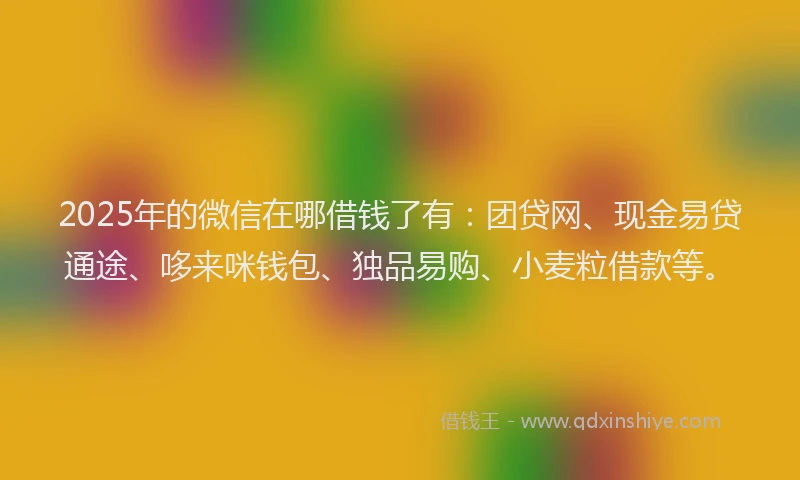 2025年的微信在哪借钱了有：团贷网、现金易贷通途、哆来咪钱包、独品易购、小麦粒借款等。