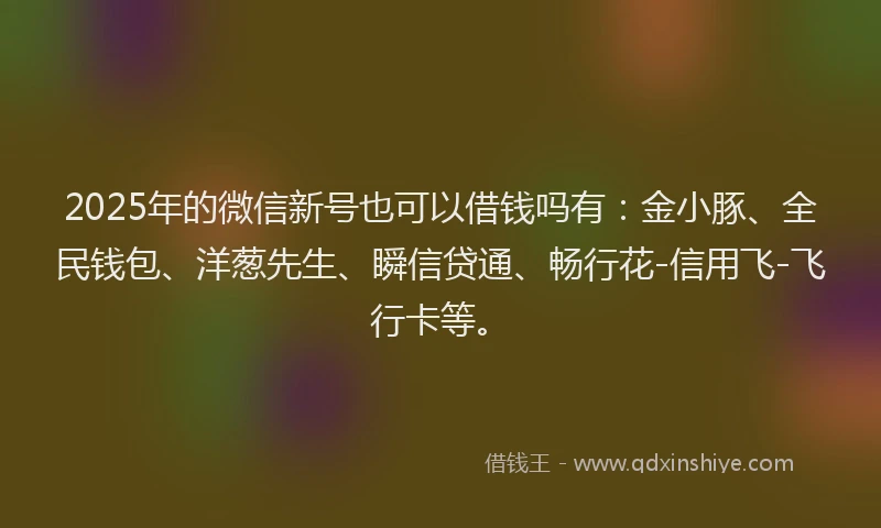 2025年的微信新号也可以借钱吗有：金小豚、全民钱包、洋葱先生、瞬信贷通、畅行花-信用飞-飞行卡等。