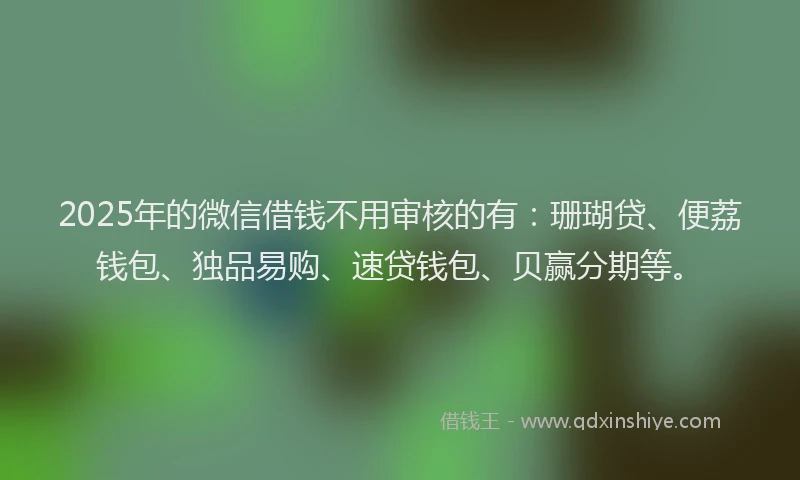 2025年的微信借钱不用审核的有：珊瑚贷、便荔钱包、独品易购、速贷钱包、贝赢分期等。