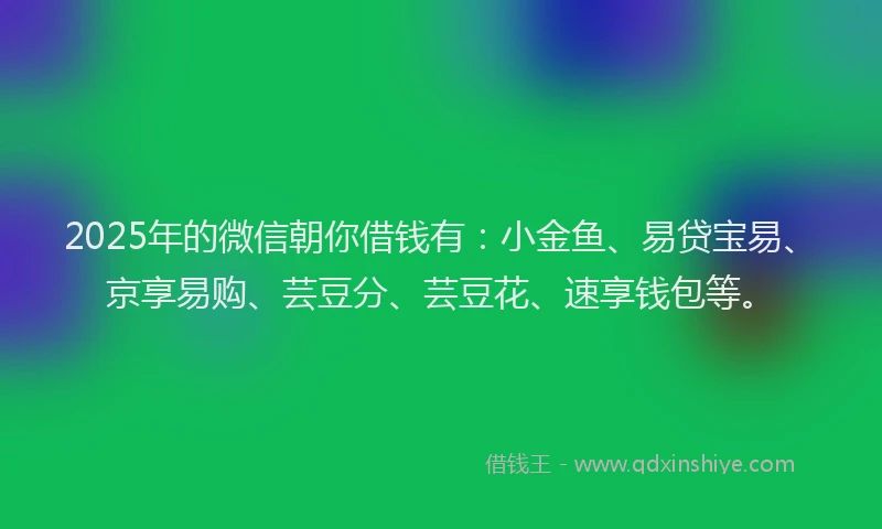 2025年的微信朝你借钱有：小金鱼、易贷宝易、京享易购、芸豆分、芸豆花、速享钱包等。