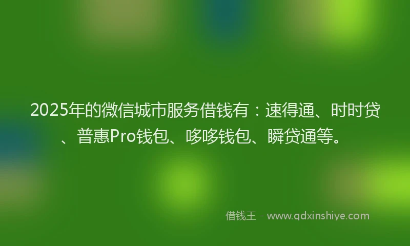 2025年的微信城市服务借钱有：速得通、时时贷、普惠Pro钱包、哆哆钱包、瞬贷通等。