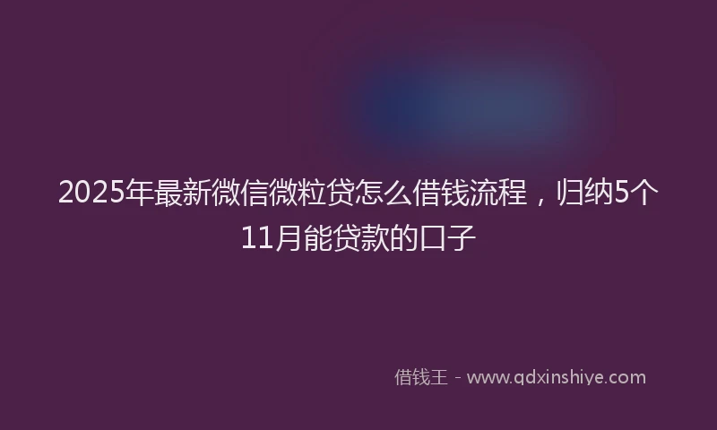 2025年最新微信微粒贷怎么借钱流程，归纳5个11月能贷款的口子