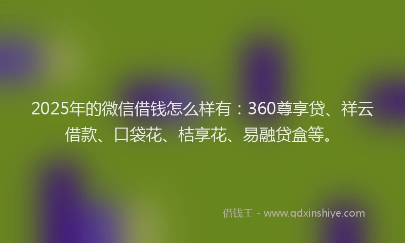 2025年的微信借钱怎么样有：360尊享贷、祥云借款、口袋花、桔享花、易融贷盒等。