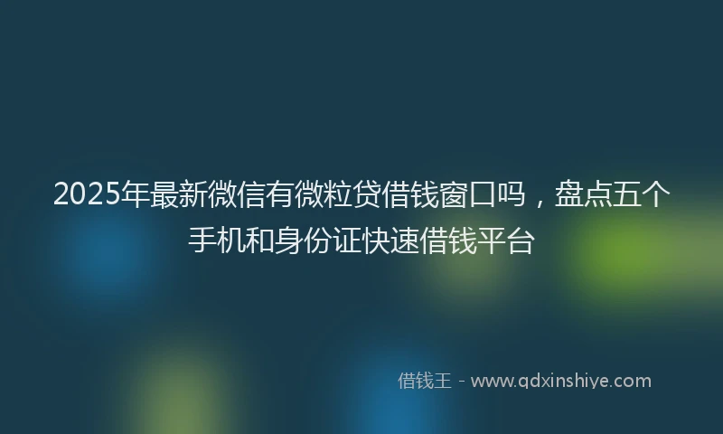 2025年最新微信有微粒贷借钱窗口吗，盘点五个手机和身份证快速借钱平台