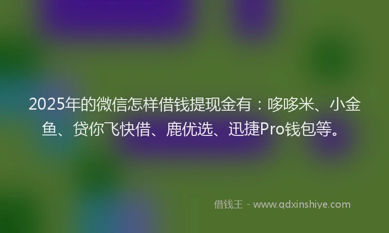 2025年的微信怎样借钱提现金有：哆哆米、小金鱼、贷你飞快借、鹿优选、迅捷Pro钱包等。