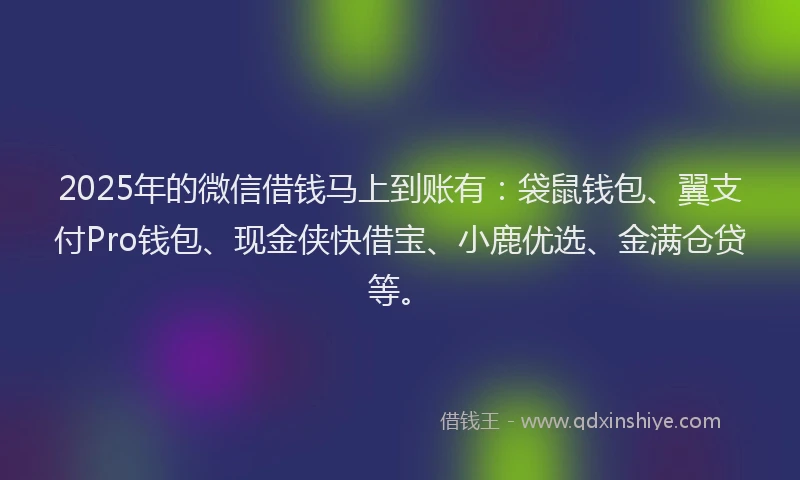 2025年的微信借钱马上到账有：袋鼠钱包、翼支付Pro钱包、现金侠快借宝、小鹿优选、金满仓贷等。