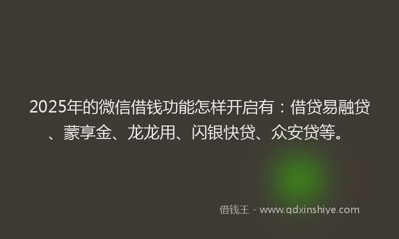 2025年的微信借钱功能怎样开启有：借贷易融贷、蒙享金、龙龙用、闪银快贷、众安贷等。