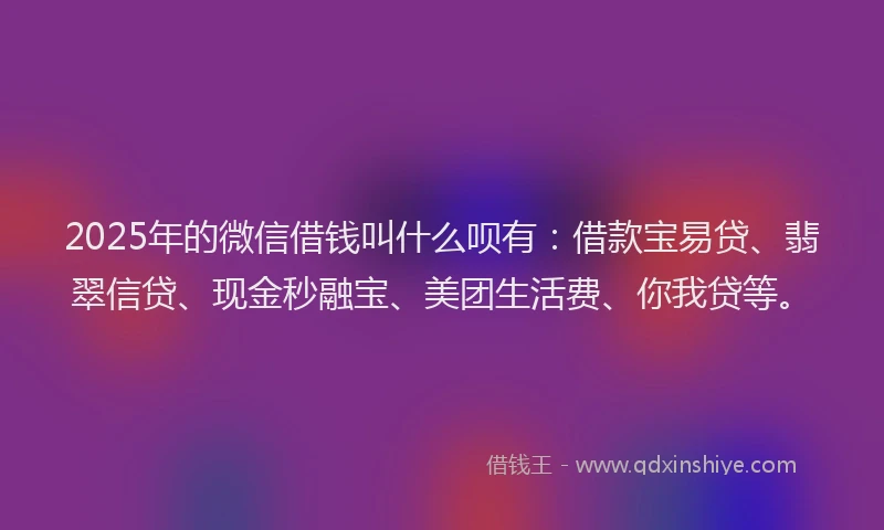2025年的微信借钱叫什么呗有：借款宝易贷、翡翠信贷、现金秒融宝、美团生活费、你我贷等。