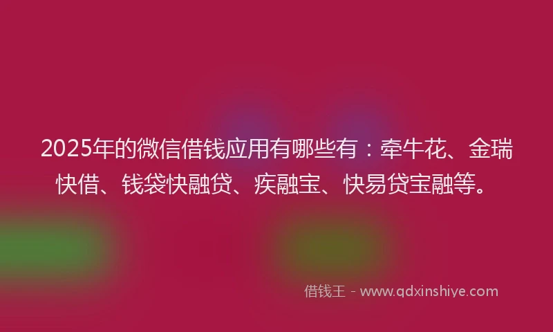 2025年的微信借钱应用有哪些有：牵牛花、金瑞快借、钱袋快融贷、疾融宝、快易贷宝融等。