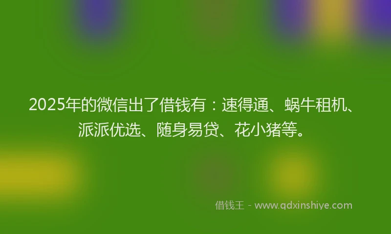 2025年的微信出了借钱有：速得通、蜗牛租机、派派优选、随身易贷、花小猪等。