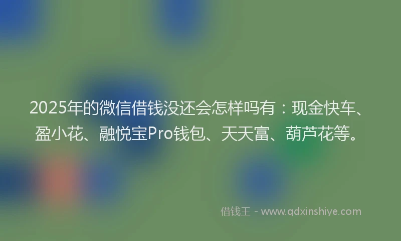 2025年的微信借钱没还会怎样吗有：现金快车、盈小花、融悦宝Pro钱包、天天富、葫芦花等。