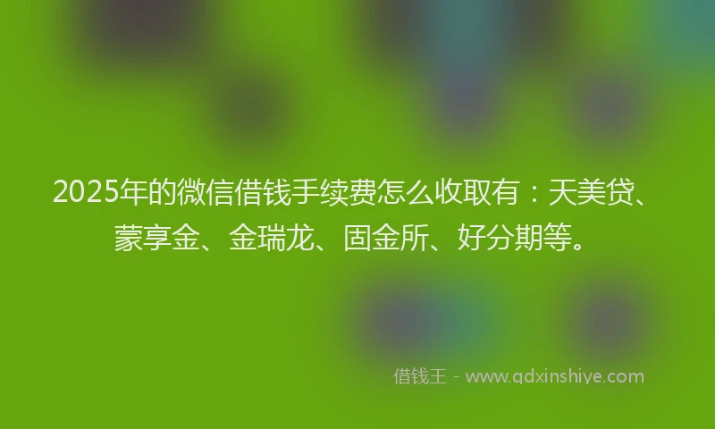 2025年的微信借钱手续费怎么收取有：天美贷、蒙享金、金瑞龙、固金所、好分期等。