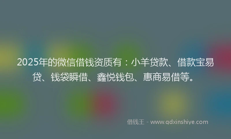 2025年的微信借钱资质有：小羊贷款、借款宝易贷、钱袋瞬借、鑫悦钱包、惠商易借等。