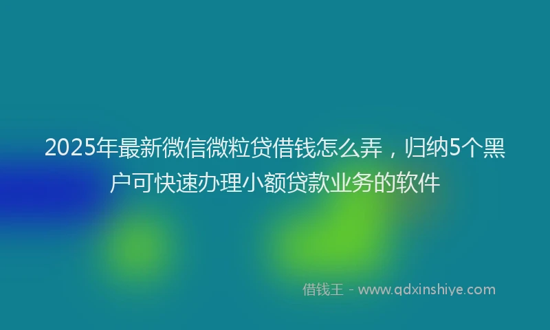 2025年最新微信微粒贷借钱怎么弄，归纳5个黑户可快速办理小额贷款业务的软件