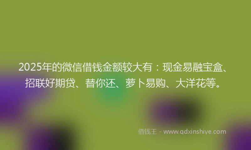 2025年的微信借钱金额较大有：现金易融宝盒、招联好期贷、替你还、萝卜易购、大洋花等。