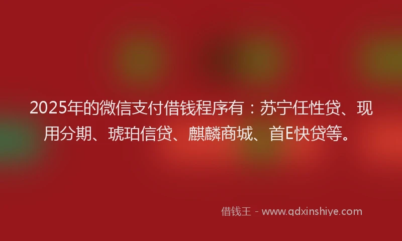 2025年的微信支付借钱程序有：苏宁任性贷、现用分期、琥珀信贷、麒麟商城、首E快贷等。