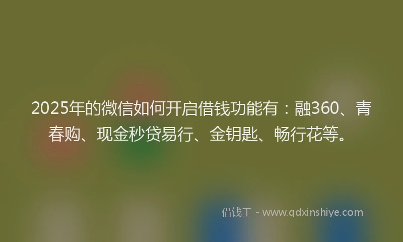 2025年的微信如何开启借钱功能有:融360、青春购、现金秒贷易行、金钥匙、畅行花等。