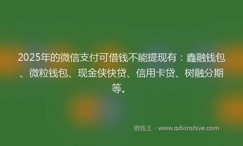 2025年的微信支付可借钱不能提现有：鑫融钱包、微粒钱包、现金侠快贷、信用卡贷、树融分期等。