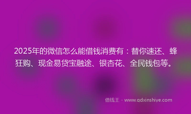2025年的微信怎么能借钱消费有：替你速还、蜂狂购、现金易贷宝融途、银杏花、全民钱包等。