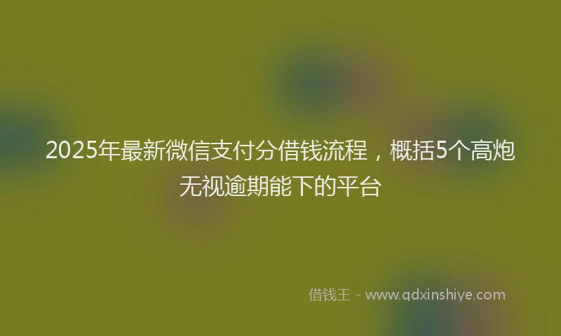 2025年最新微信支付分借钱流程，概括5个高炮无视逾期能下的平台