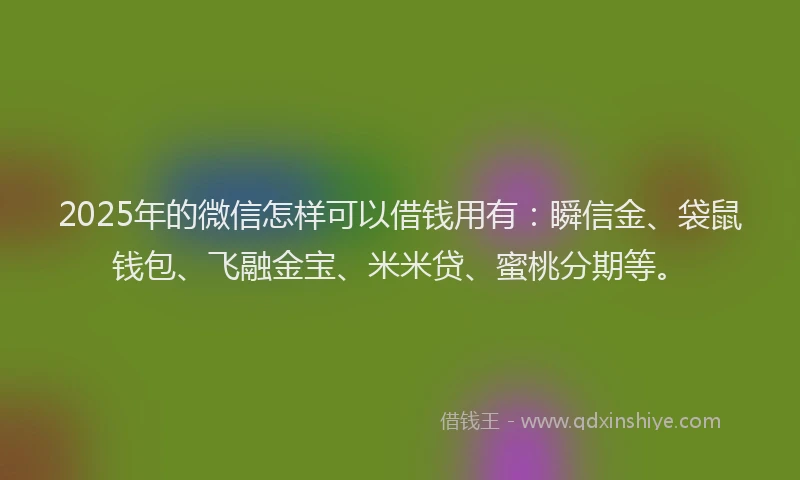 2025年的微信怎样可以借钱用有：瞬信金、袋鼠钱包、飞融金宝、米米贷、蜜桃分期等。